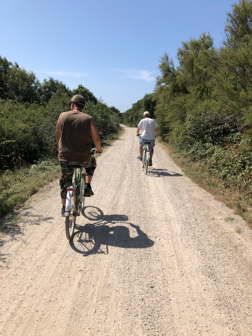 Ballade en vélo